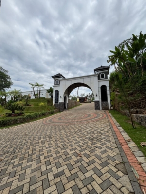 WhatsApp Image 2026-03-27 at 10.10.25