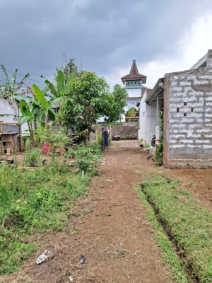 WhatsApp Image 2026-03-27 at 10.14.44